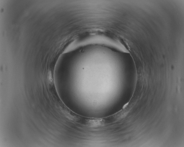 X0000065970089200603101408