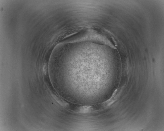 X0000065970090200603101408