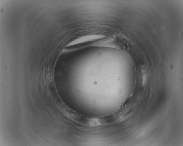 X0000065970091200603101408