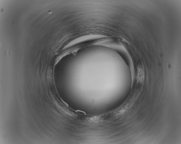 X0000065970092200603101408