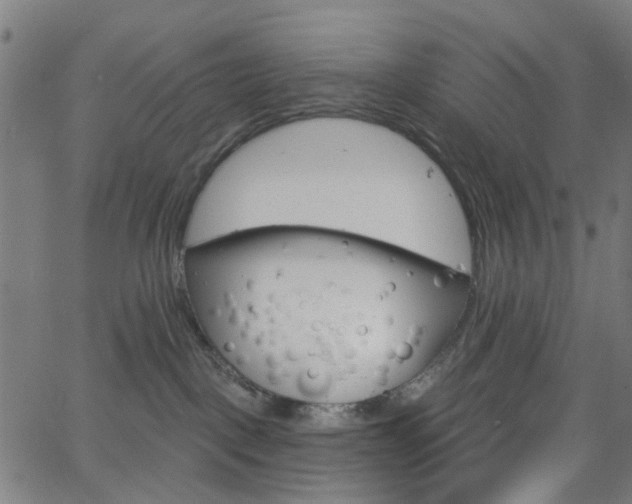 X0000065970093200603101408