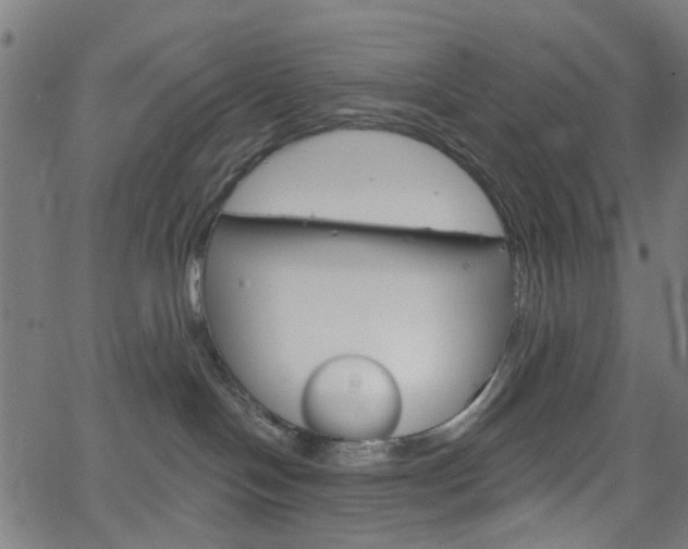 X0000065970094200603101408