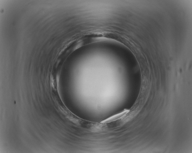 X0000065970096200603101408