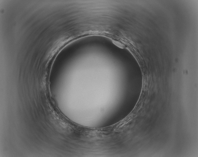 X0000065970098200603101407