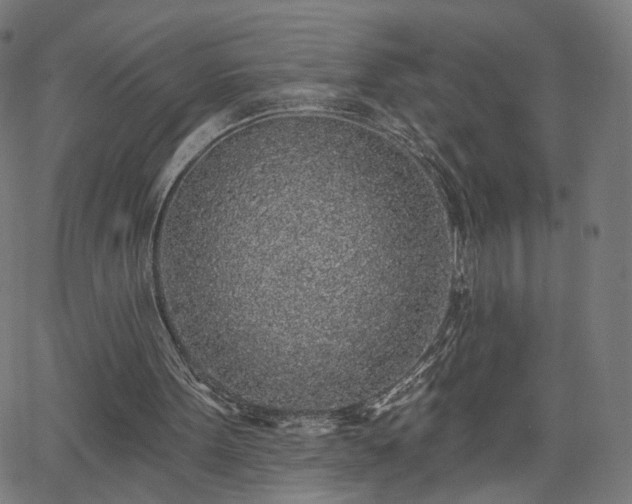 X0000065970099200603101407