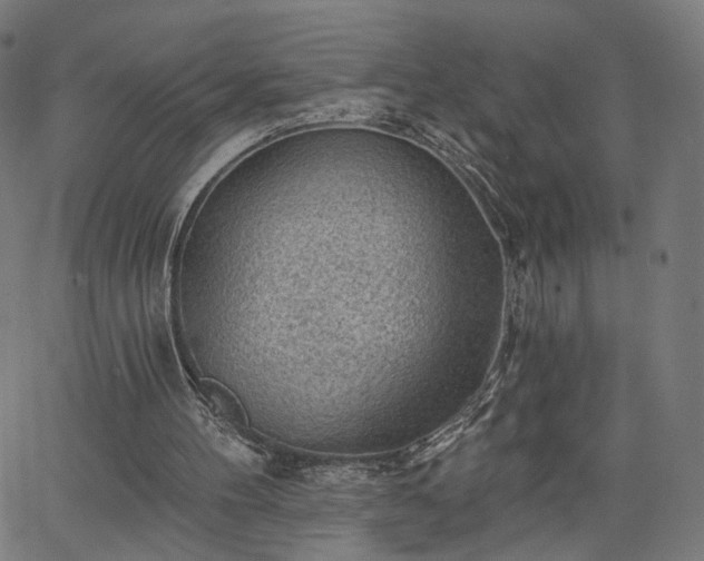 X0000065970100200603101407