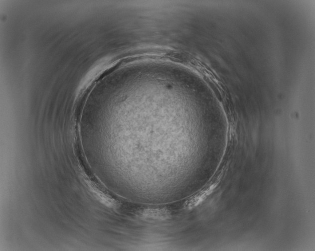 X0000065970101200603101407