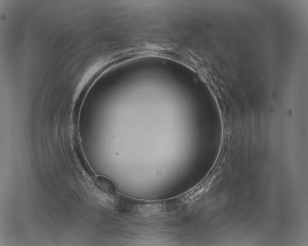 X0000065970102200603101407