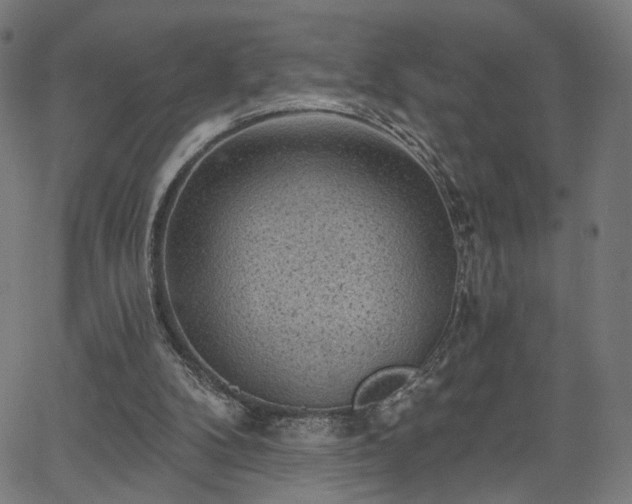 X0000065970104200603101407