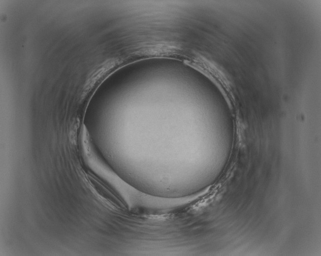 X0000065970105200603101407