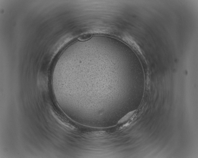 X0000065970108200603101407