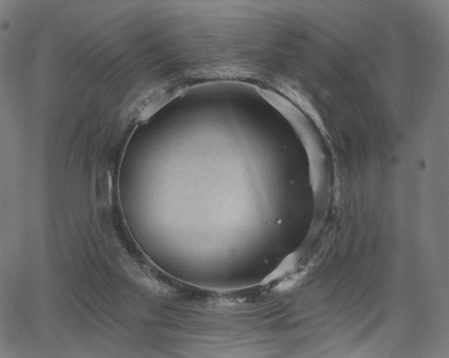 X0000065970109200603101407