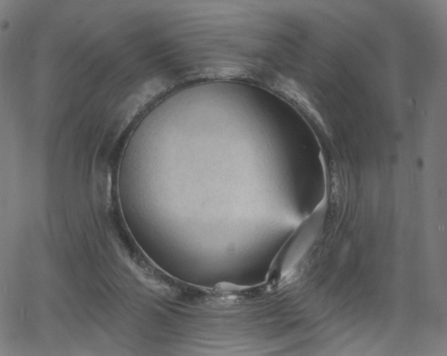 X0000065970110200603101407