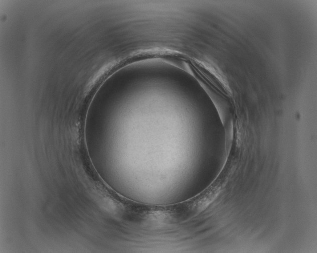 X0000065970111200603101407