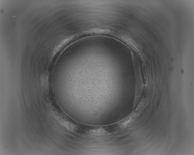 X0000065970112200603101407