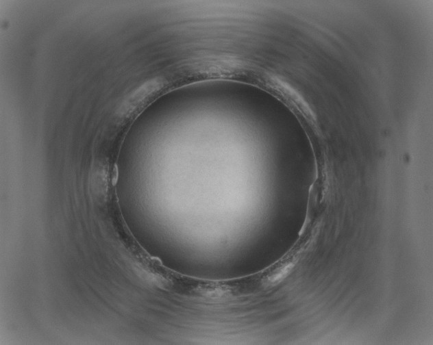 X0000065970113200603101407