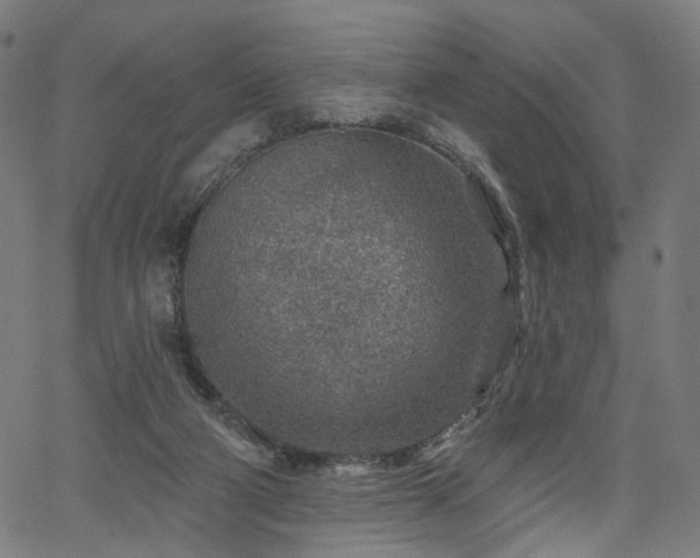 X0000065970114200603101407