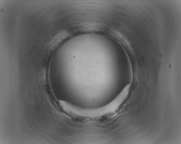 X0000065970115200603101407