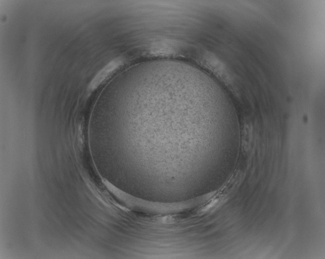 X0000065970116200603101407