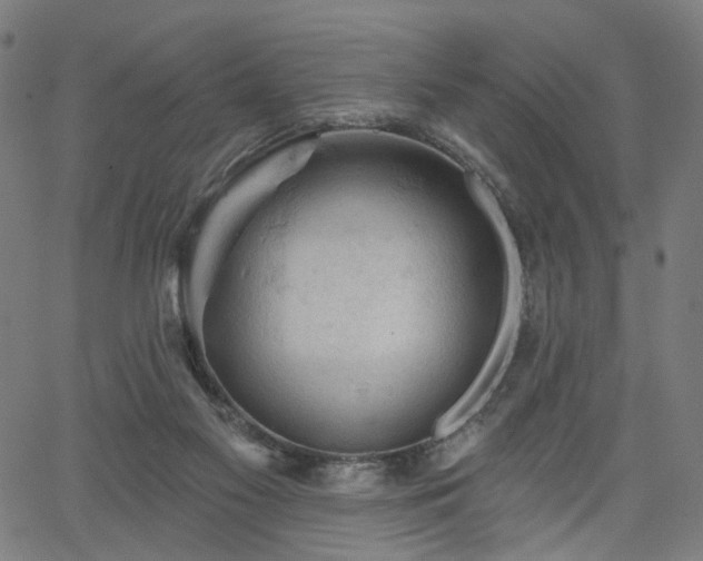 X0000065970117200603101407