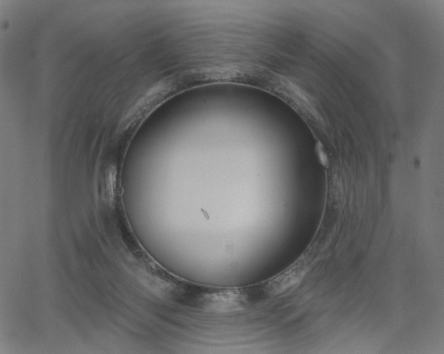 X0000065970118200603101407