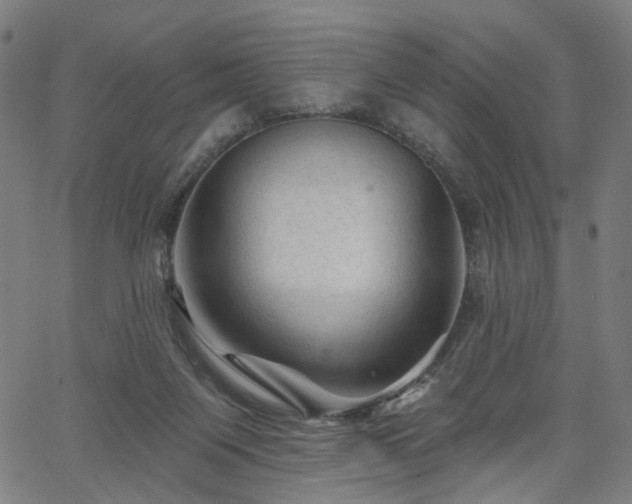 X0000065970119200603101407