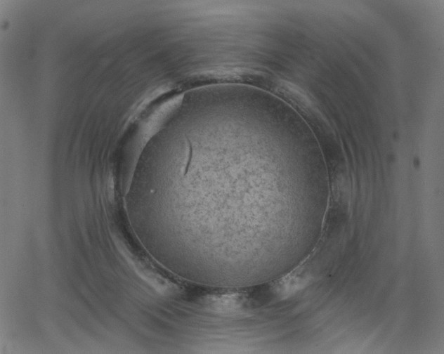 X0000065970120200603101407