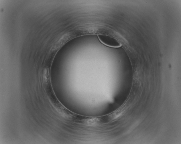 X0000065970122200603101407