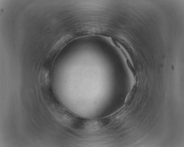 X0000065970123200603101407