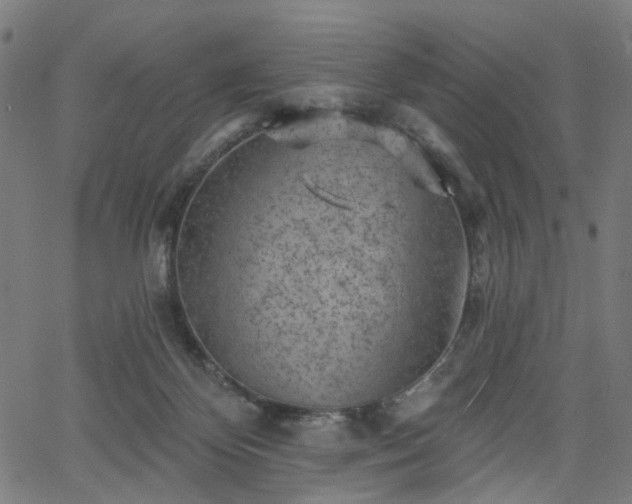 X0000065970124200603101407