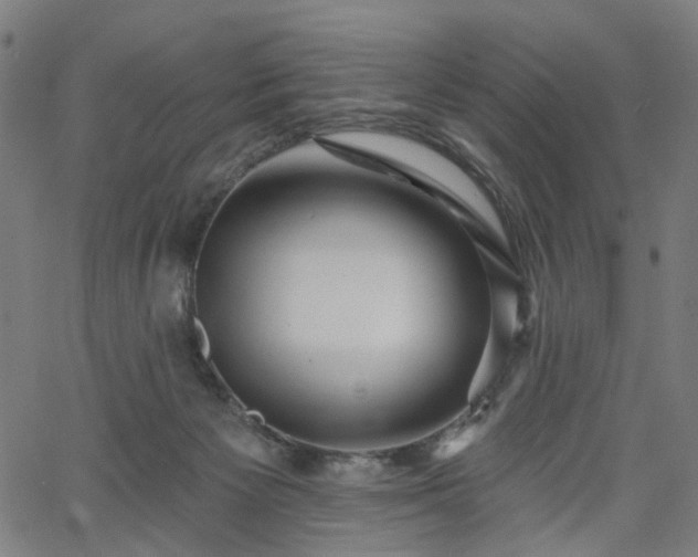 X0000065970125200603101407