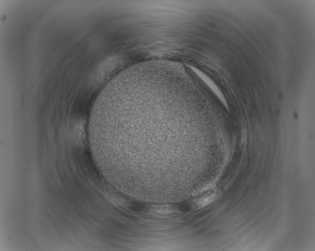 X0000065970127200603101407