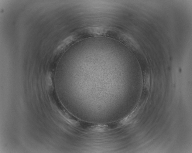 X0000065970128200603101407