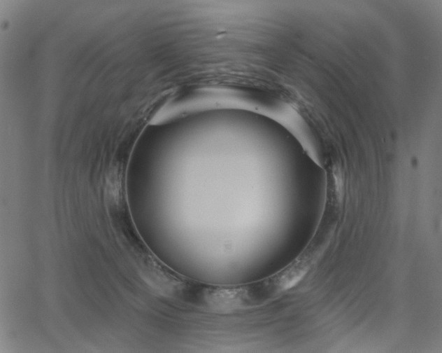 X0000065970129200603101407