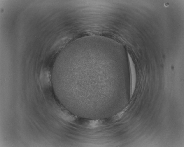 X0000065970130200603101407