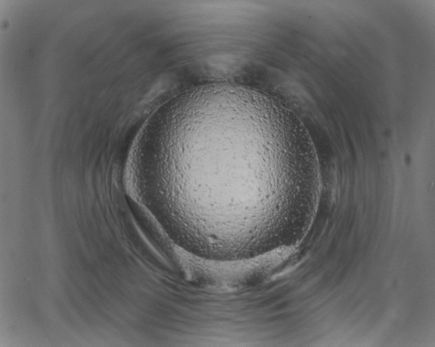 X0000065970131200603101407