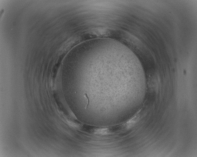 X0000065970132200603101407