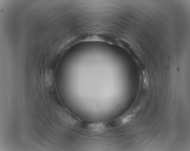 X0000065970133200603101407