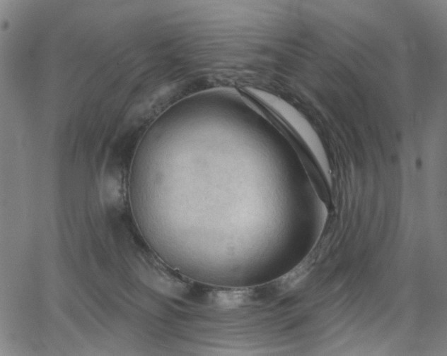 X0000065970134200603101407