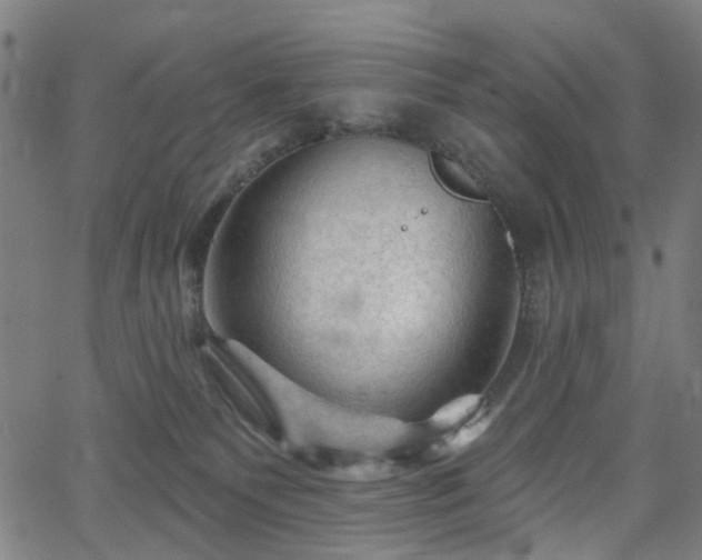 X0000065970135200603101407