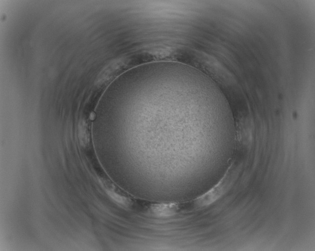 X0000065970136200603101407