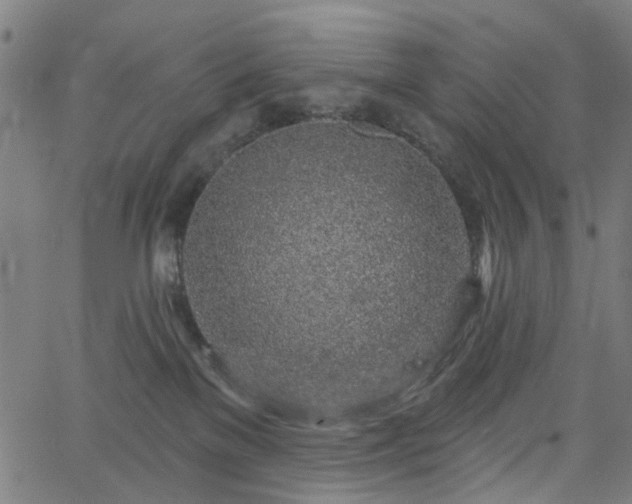 X0000065970137200603101407