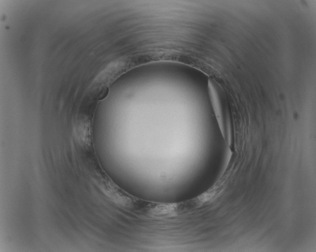 X0000065970138200603101407