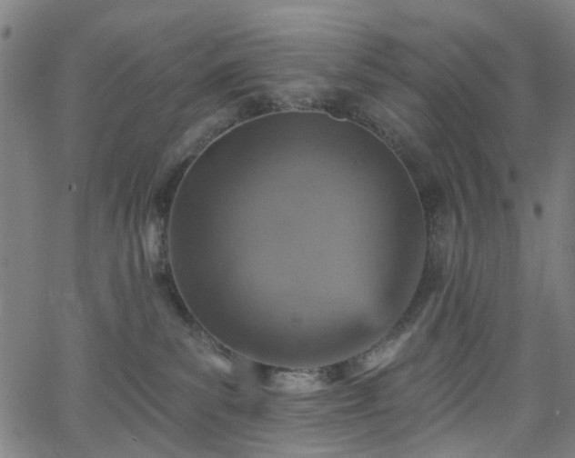 X0000065970139200603101406