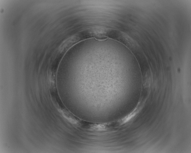 X0000065970140200603101406