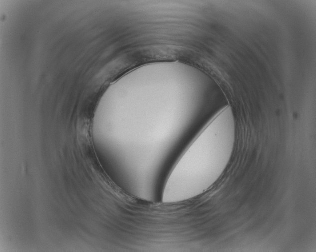 X0000065970141200603101406