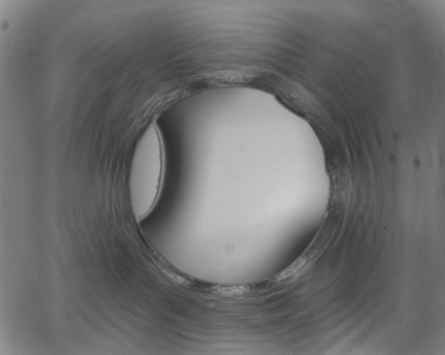 X0000065970143200603101406