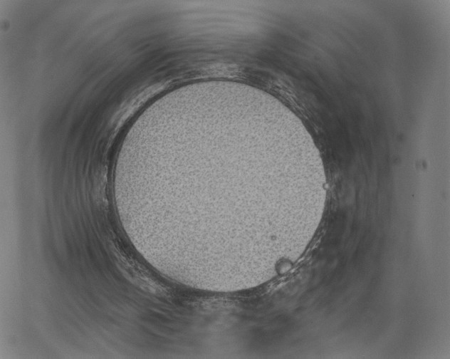 X0000065970146200603101406