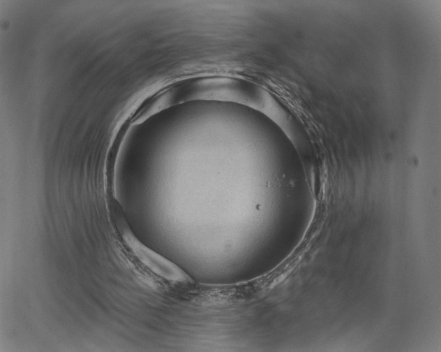 X0000065970148200603101406