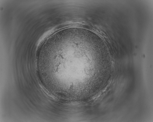 X0000065970149200603101406